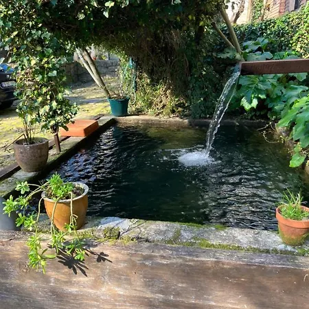 Casa Rio Vez - Riverfront Аркуш-ди-Валдевеш