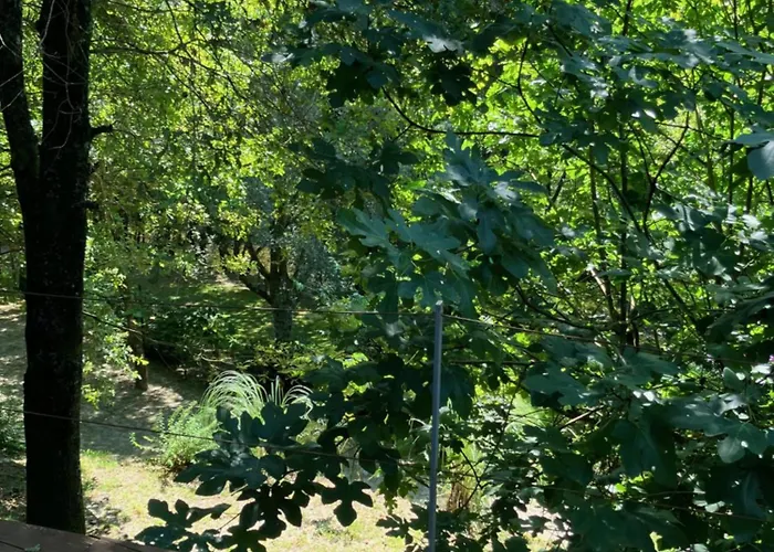 Casa Rio Vez - Riverfront